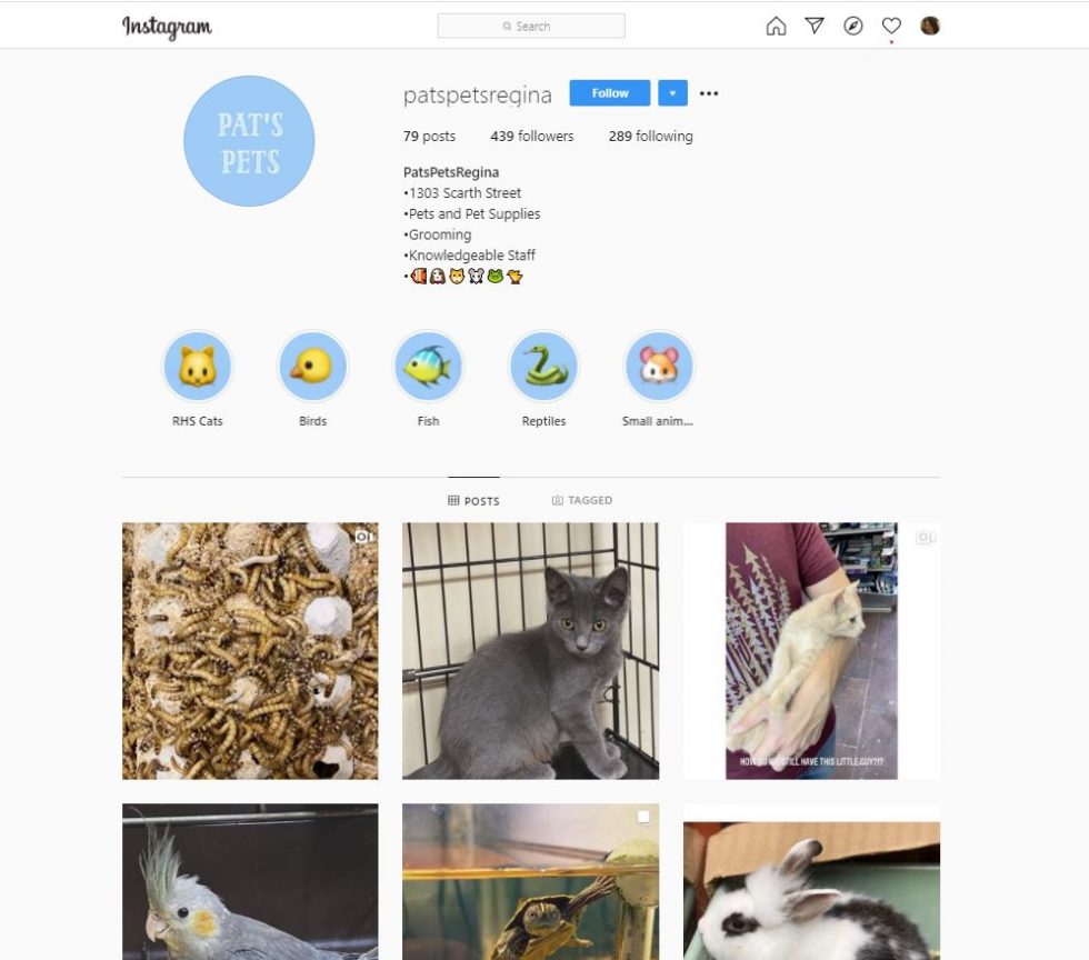 Cats, Dogs, Birds, Reptiles, Fish Pat's Pets & Supplies Ltd. Regina SK